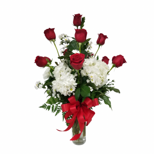 Premium Dozen Red Roses with Hydrangea
